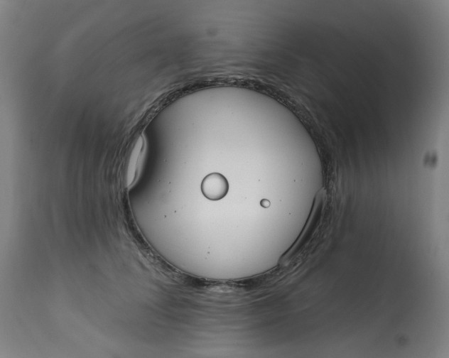 X0000113020708200909171454