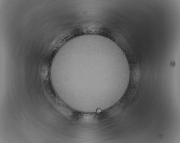 X0000113020709200909171454