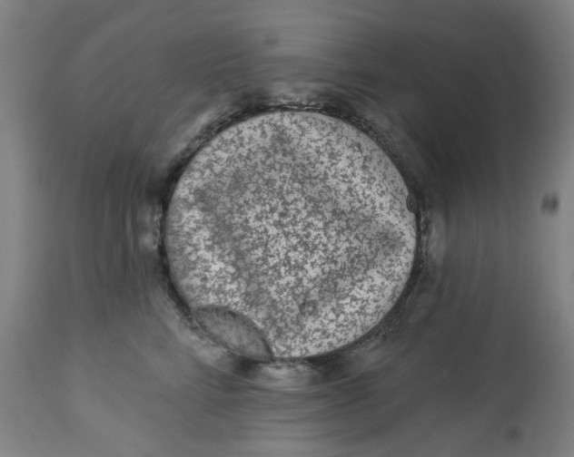 X0000113020712200909171454