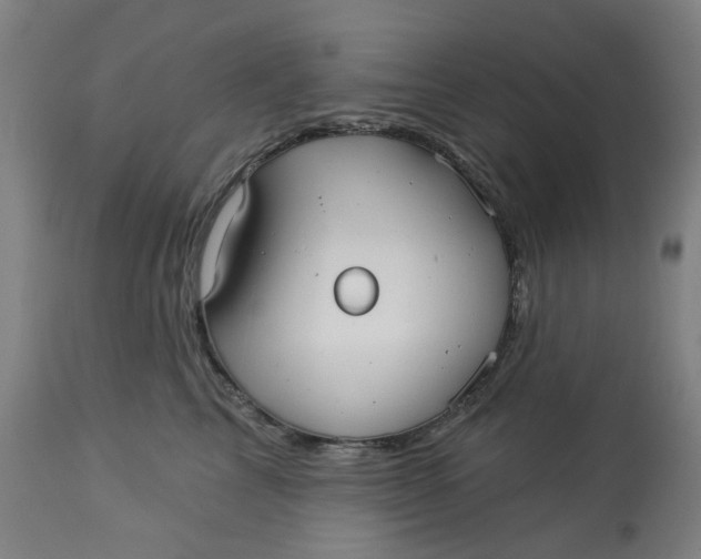 X0000113020713200909171454