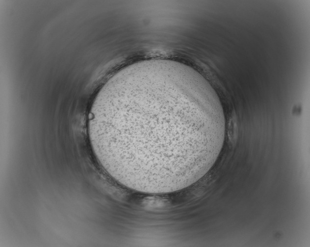 X0000113020714200909171454