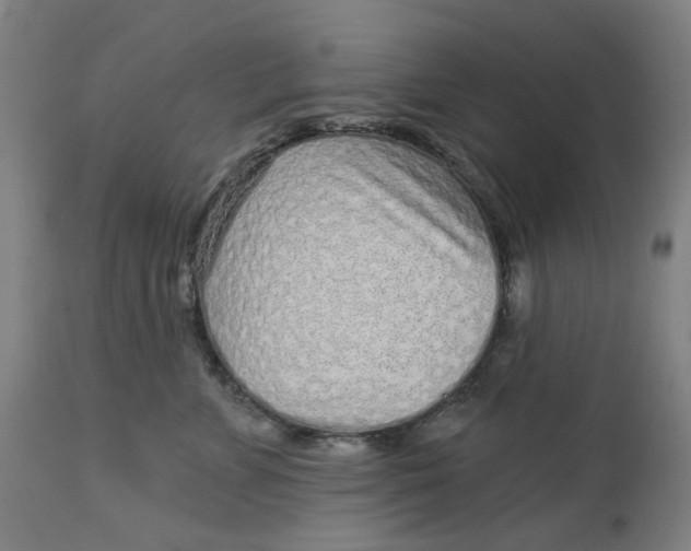 X0000113020715200909171454