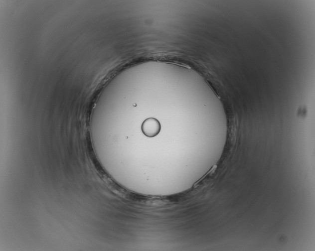 X0000113020716200909171454