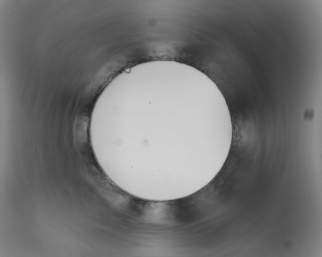 X0000113020717200909171454