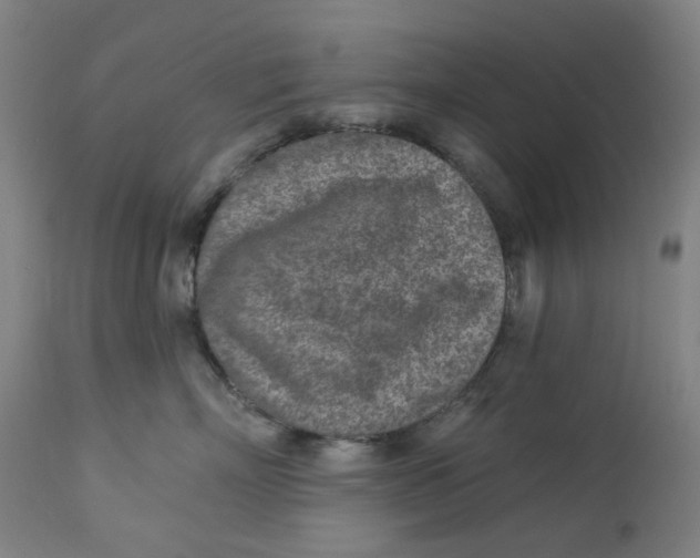 X0000113020718200909171454