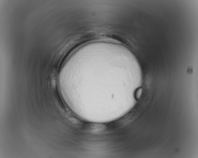 X0000113020719200909171454