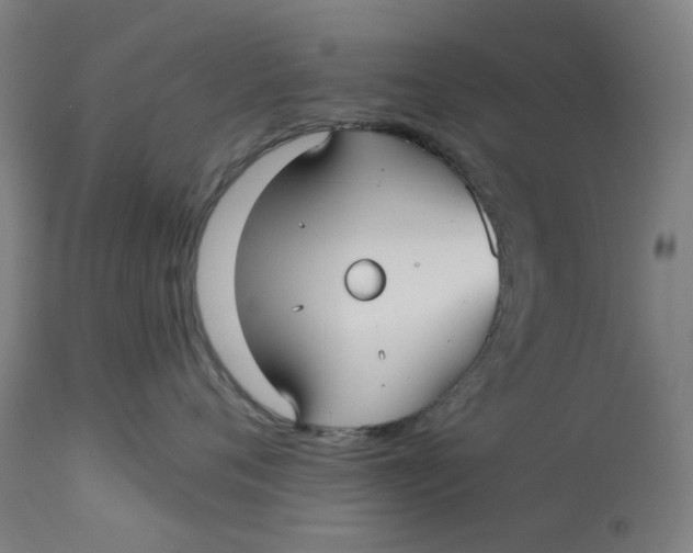 X0000113020720200909171454