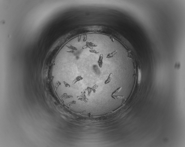 X0000113020723200909171453