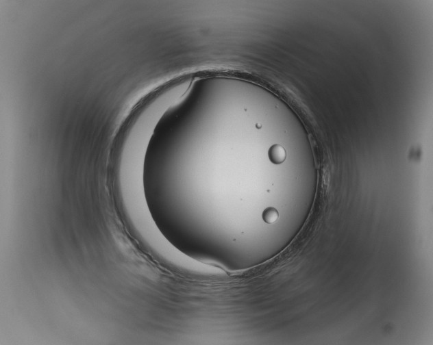 X0000113020724200909171453