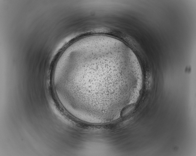 X0000113020726200909171453