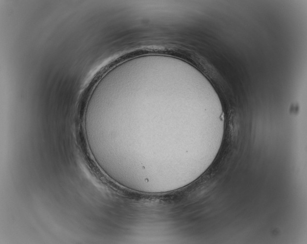 X0000113020728200909171453