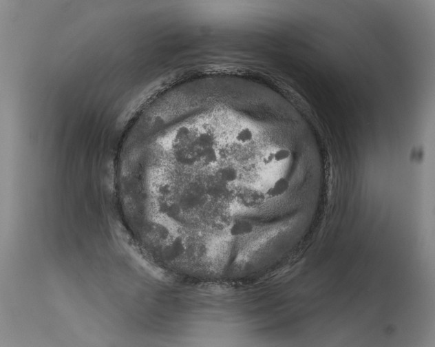 X0000113020729200909171453