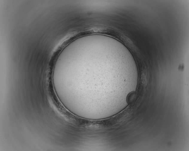 X0000113020730200909171453