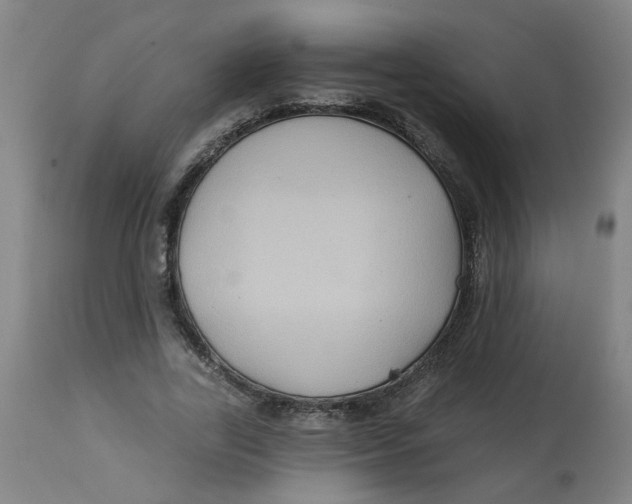 X0000113020731200909171453