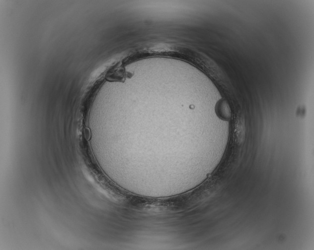 X0000113020732200909171453