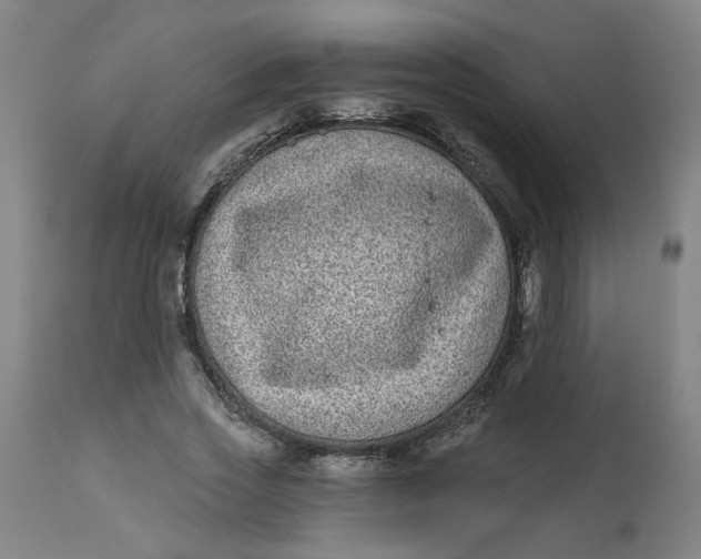 X0000113020733200909171453