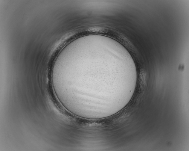 X0000113020734200909171453