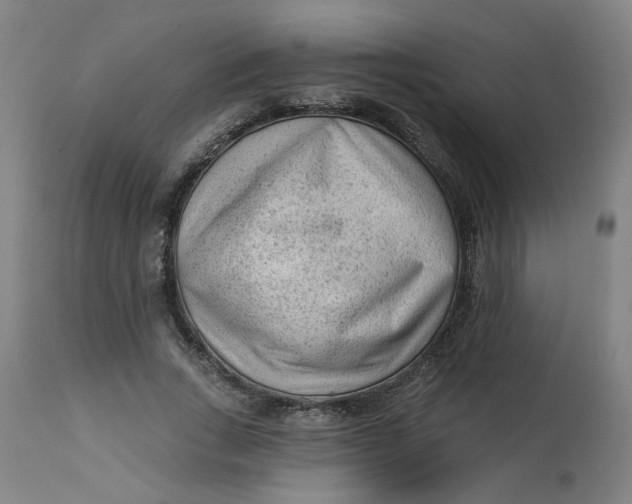 X0000113020735200909171453