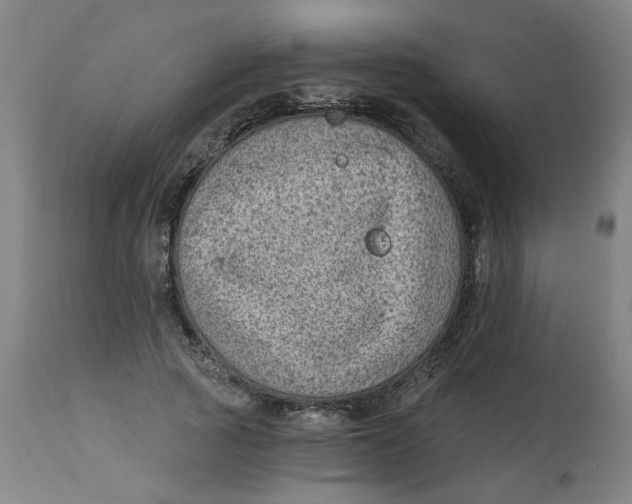 X0000113020737200909171453