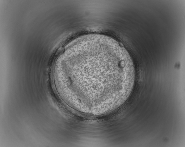 X0000113020738200909171453