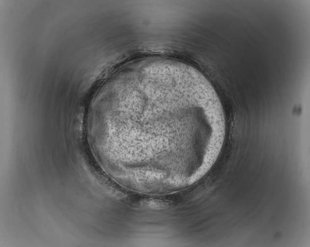 X0000113020739200909171453