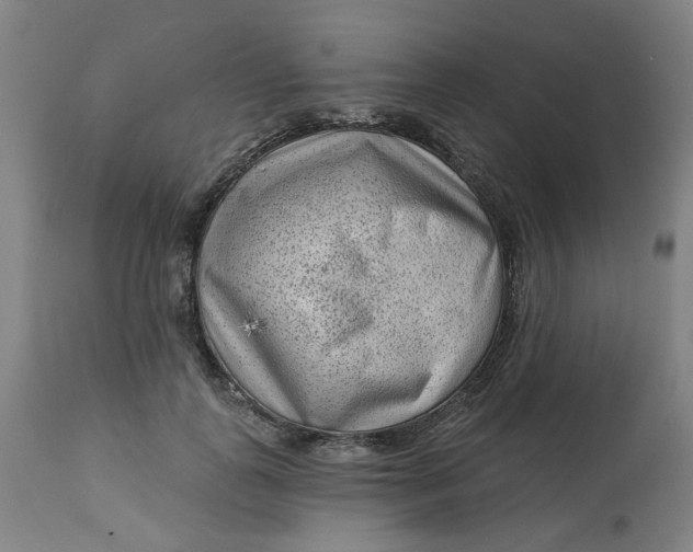 X0000113020747200909171453