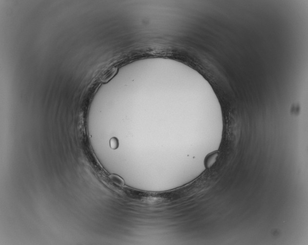 X0000113020748200909171453