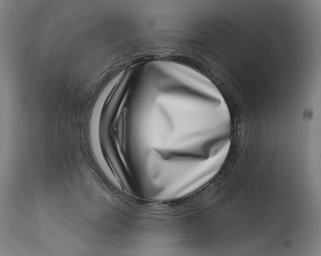 X0000113020750200909171453