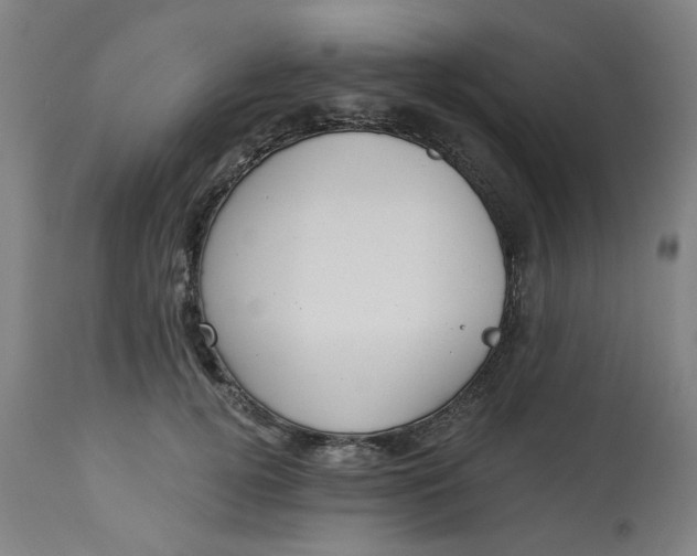 X0000113020752200909171453