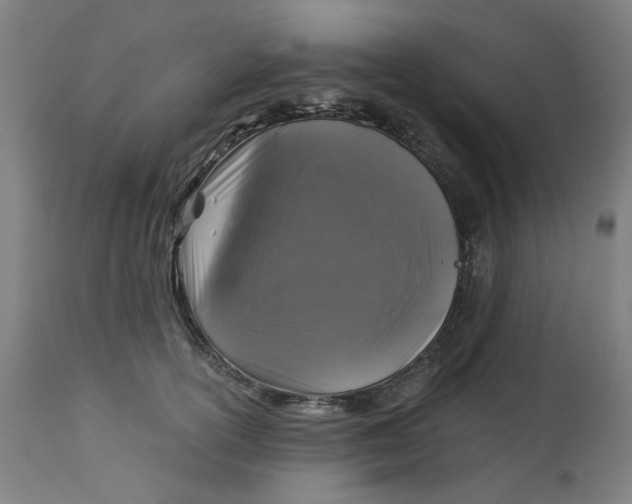 X0000113020754200909171453