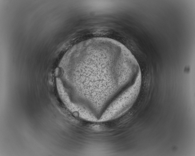 X0000113020755200909171453