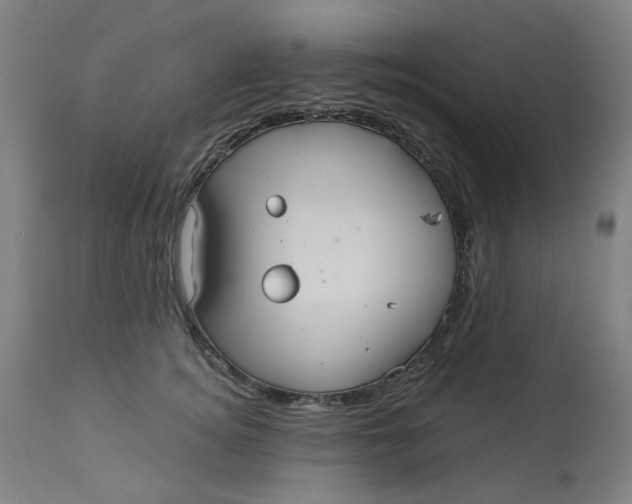 X0000113020756200909171453