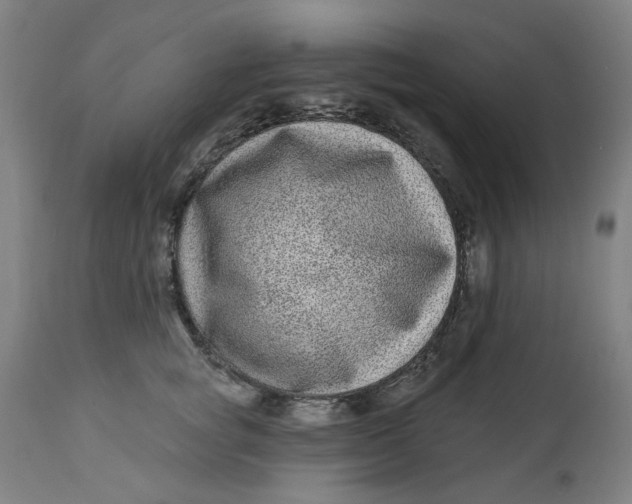 X0000113020757200909171453