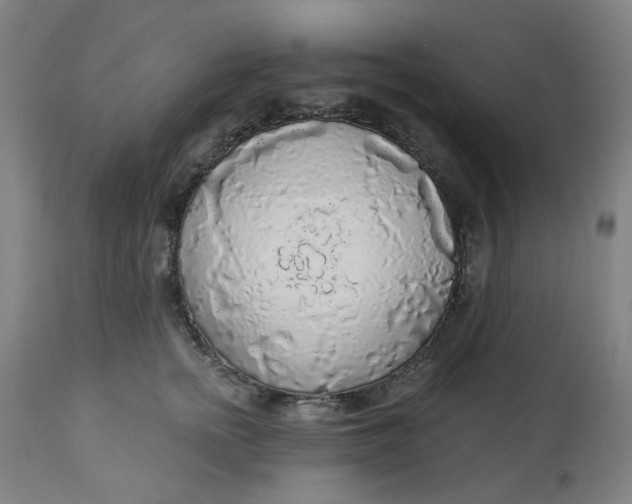 X0000113020758200909171453