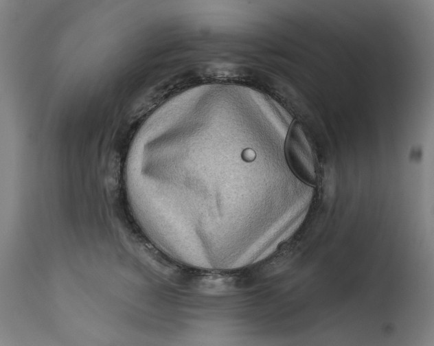 X0000113020760200909171453