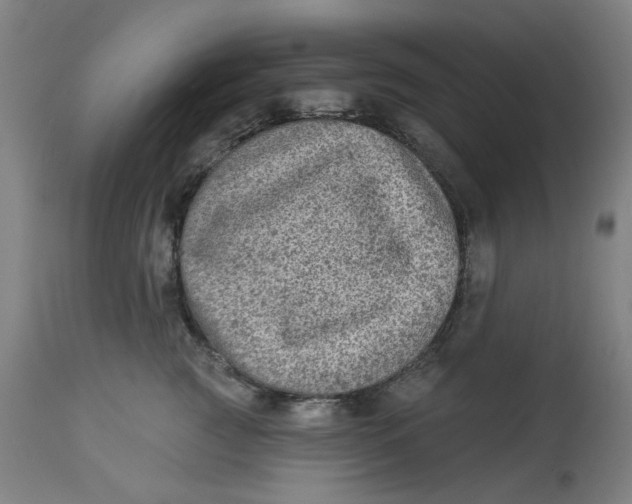 X0000113020761200909171453