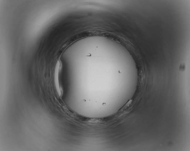 X0000113020762200909171453