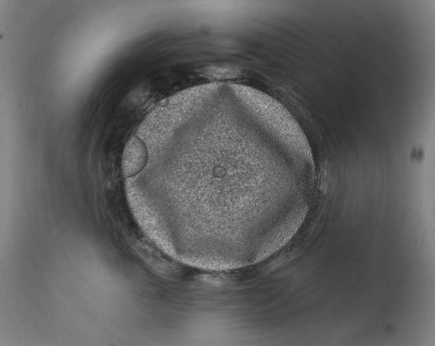 X0000113020763200909171453