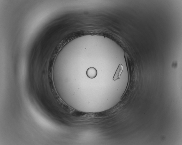 X0000113020764200909171454