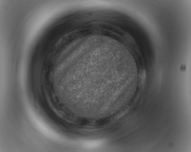 X0000113020765200909171454