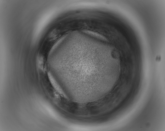 X0000113020766200909171454