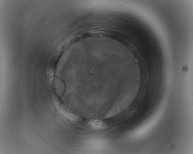 X0000113020767200909171454