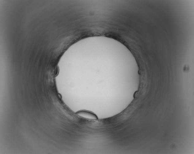 X0000113020768200909171454