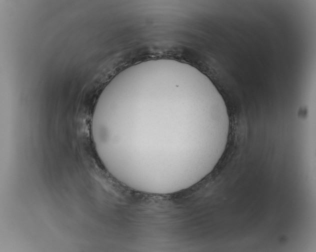 X0000113020770200909171453