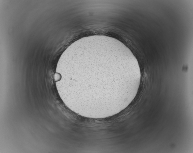 X0000113020772200909171453