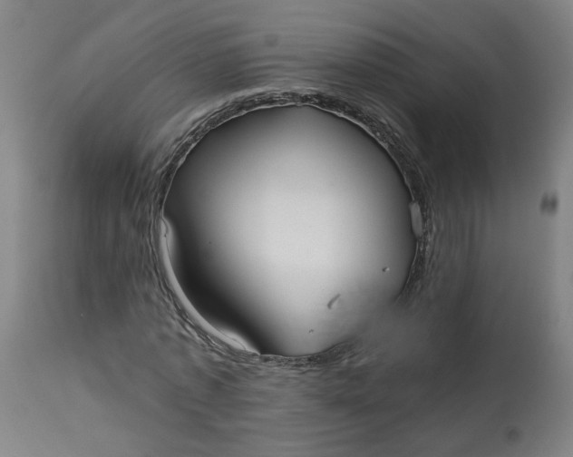 X0000113020773200909171453