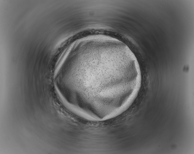 X0000113020775200909171453