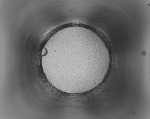 X0000113020776200909171453