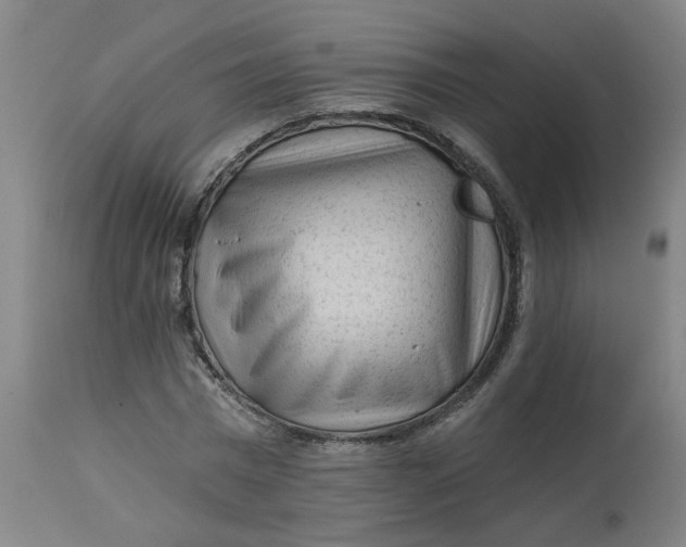 X0000113020777200909171453