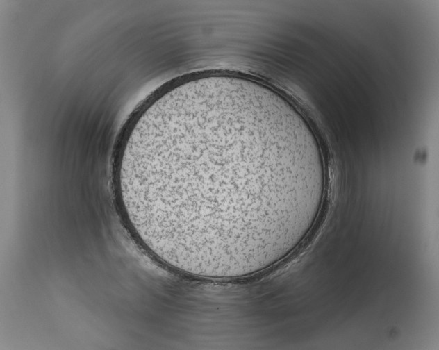 X0000113020780200909171453